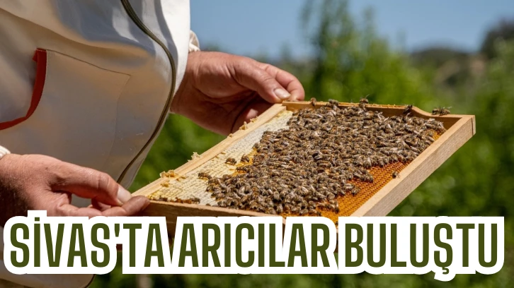 Sivas'ta Arıcılar Buluştu 