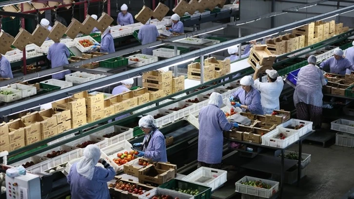 Ege'de İhracat 1 Milyar Doları Aştı