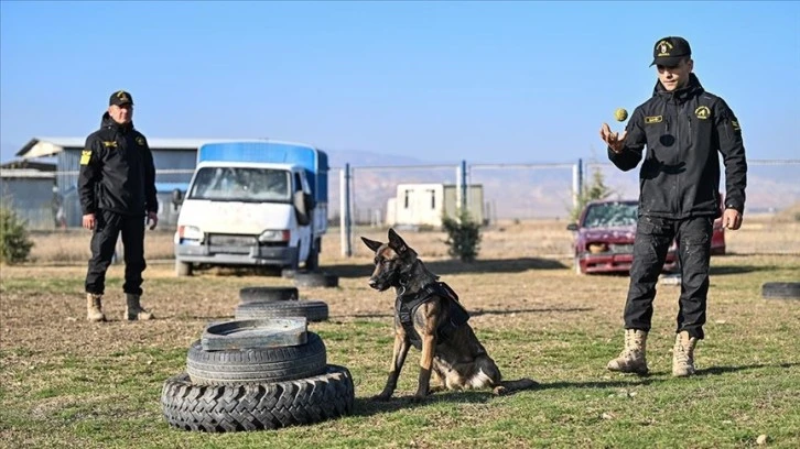 Hava Kuvvetleri'nin 'Hassas Burunları' Eğitime Devam Ediyor
