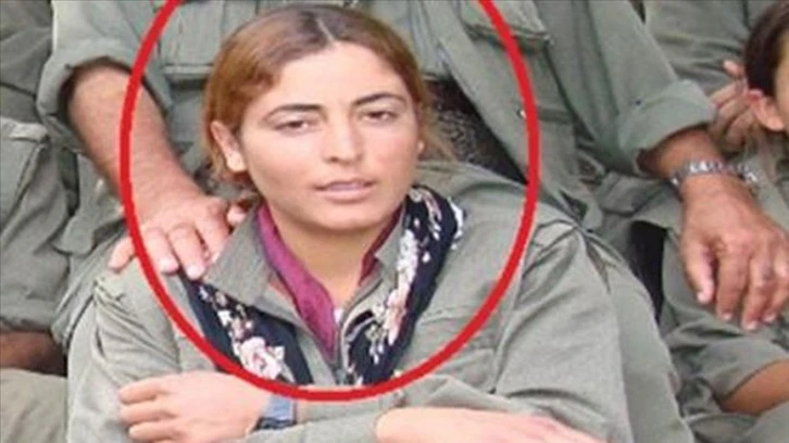 MİT, PKK'nın Sözde Sorumlusunu Etkisiz Hale Getirdi 