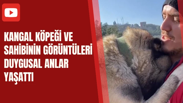 Kangal Köpeği ve Sahibinin Görüntüleri Duygusal Anlar Yaşattı 