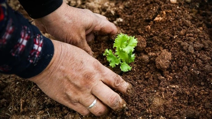 Tarımda Kadın Emeği Zirvesi Yarın Başlayacak