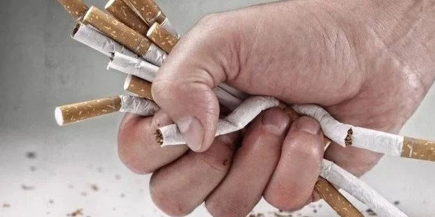 Böbrek Sağlığınız İçin Tütünden Uzak Durun!