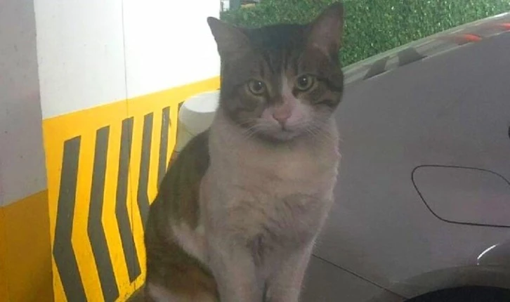 Eros'un Katilinin Cezası Belli Oldu! 