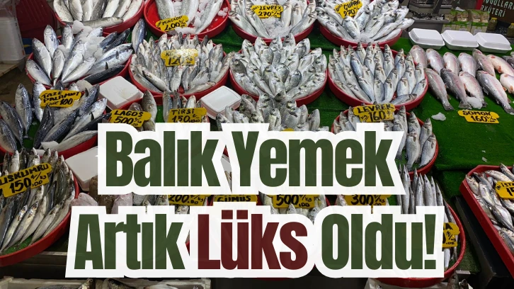 Balık Yemek Artık Lüks Oldu!