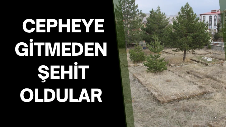 Cepheye Gitmeden Şehit Oldular 