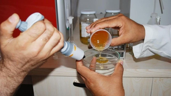  'Gıda ürünlerinde artan taklit üreticilerimiz için ekonomik kayıplara sebep oluyor'