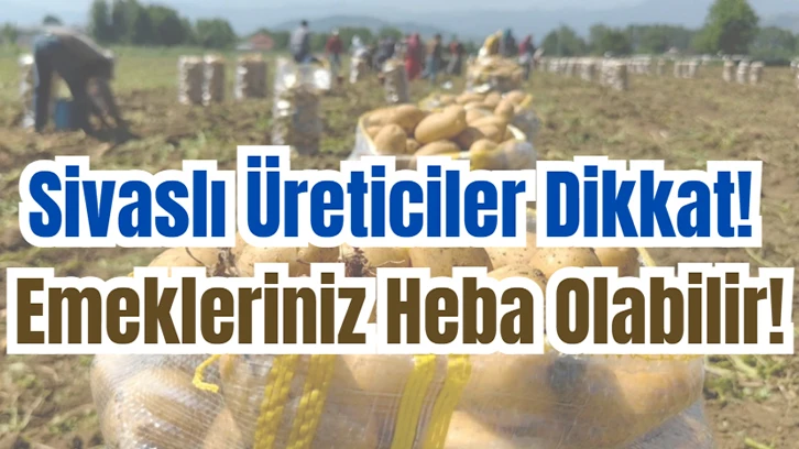 Sivaslı Üreticiler Dikkat! Emekleriniz Heba Olabilir! 