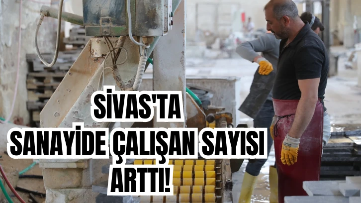 Sivas'ta Sanayide Çalışan Sayısı Arttı 