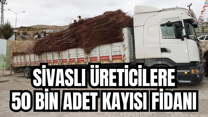 Sivaslı Üreticilere 50 Bin Adet Kayısı Fidanı 