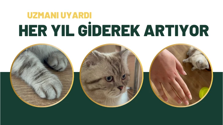 Uzmanı Uyardı: Her Yıl Giderek Artıyor