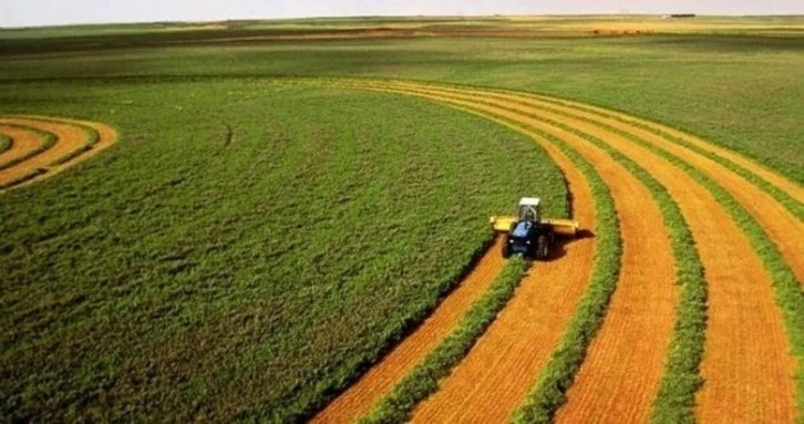Projelerin Hibe Tutarı Arttı 