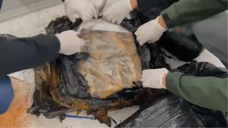 Yolcu otobüsünde 23 kilo 794 gram skunk ele geçirildi