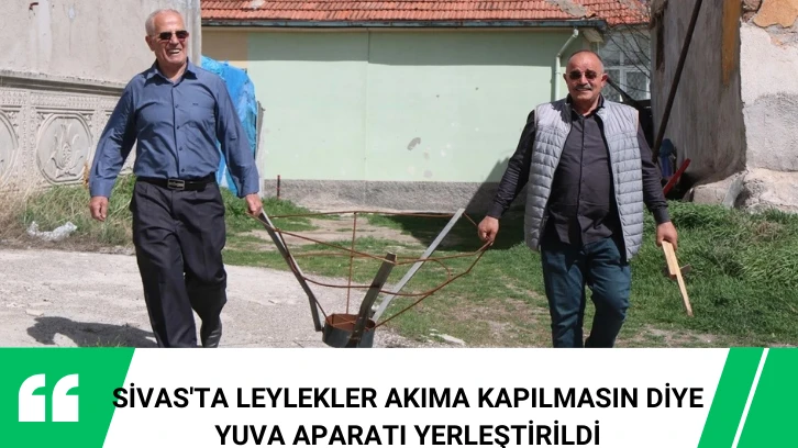 Sivas'ta Leylekler Akıma Kapılmasın Diye Yuva Aparatı Yerleştirildi 