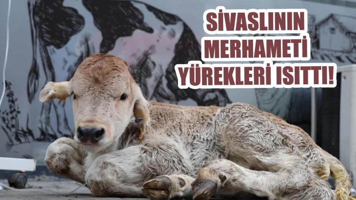 Sivaslının Merhameti Yürekleri Isıttı! 