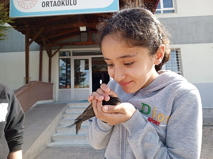Şarkışla'da okul bahçesinde bulunan ebabil doğal ortamına salındı