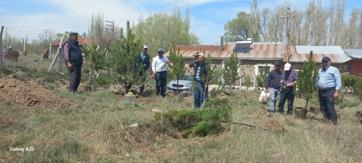 Ulaş'ta köy mezarlığı ağaçlandırıldı