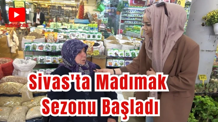 Sivas'ta Madımak Sezonu Başladı