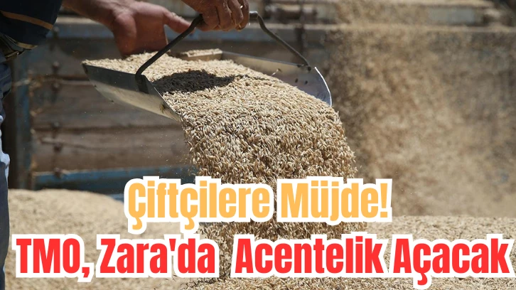 Çiftçilere Müjde! TMO, Zara'da  Acentelik Açacak