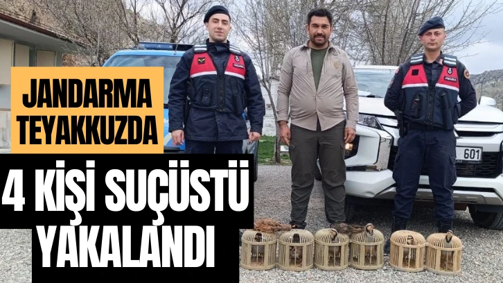 Sivas'ta Yasadışı Avlananlara Suçüstü!