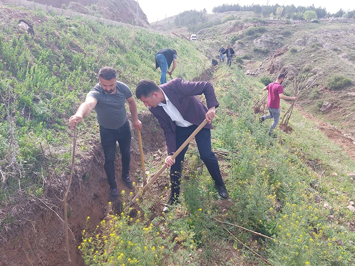 Zara'da Alparslan Türkeş Meyve Bahçesi kuruldu