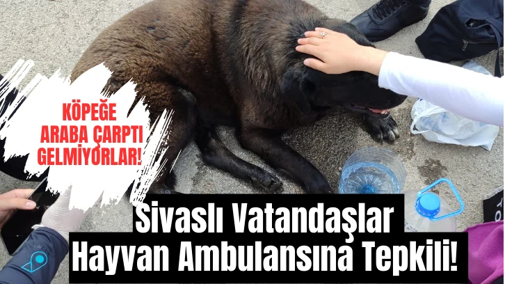 Sivaslı Vatandaşlar Hayvan Ambulansına Tepkili! 