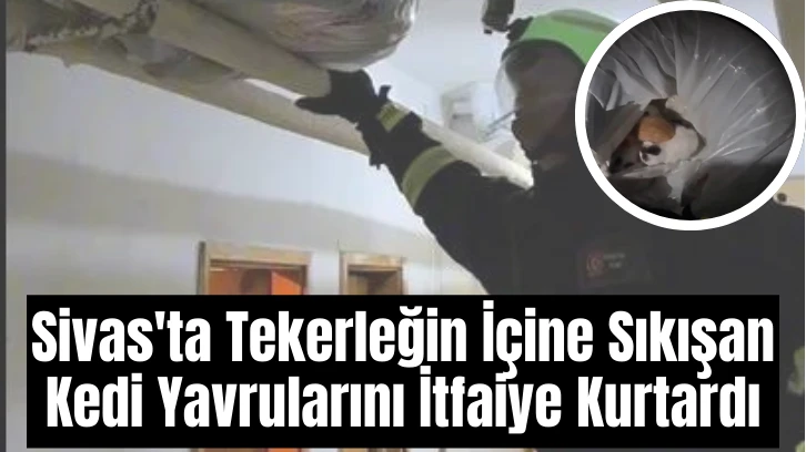 Sivas'ta Tekerleğin İçine Sıkışan Kedi Yavrularını İtfaiye Kurtardı