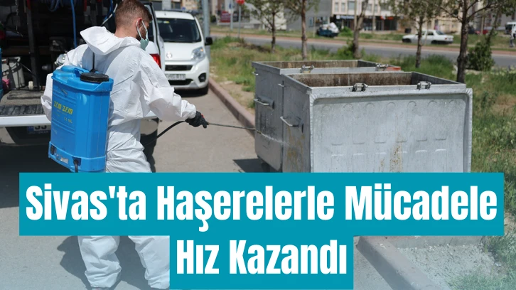 Sivas'ta Haşerelerle Mücadele Hız Kazandı