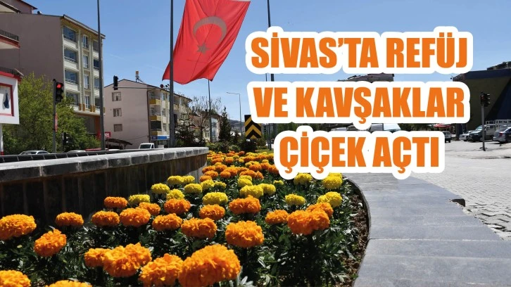 Sivas'ta Refüj ve Kavşaklar Çiçek Açtı