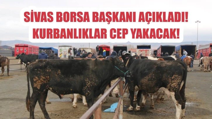 Borsa Başkanı Açıkladı! Sivas’ta Kurbanlıklar Cep Yakacak!