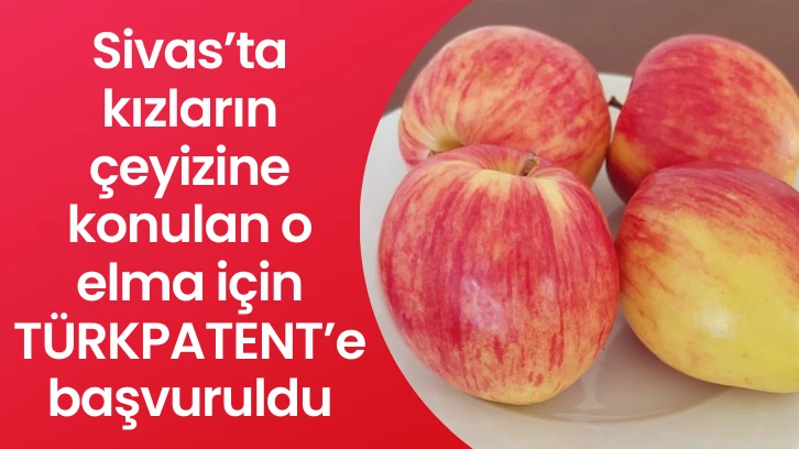 Sivas’ta kızların çeyizine konulan o elma için TÜRKPATENT’e başvuruldu