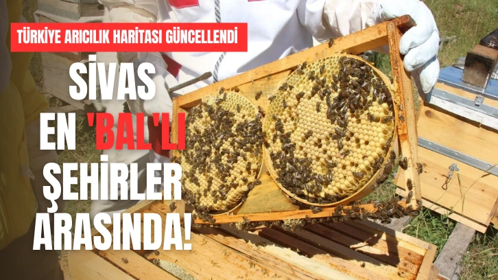 Sivas En 'Bal'lı Şehirler Arasında!