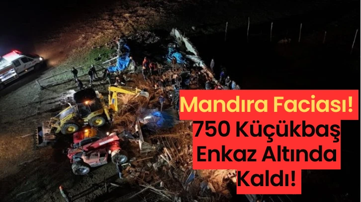 Mandıra Faciası! 750 Küçükbaş Enkaz Altında Kaldı! 