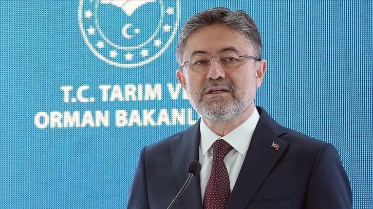 Sokak Hayvanlarıyla İlgili Düzenleme Meclis'te Görüşülecek 