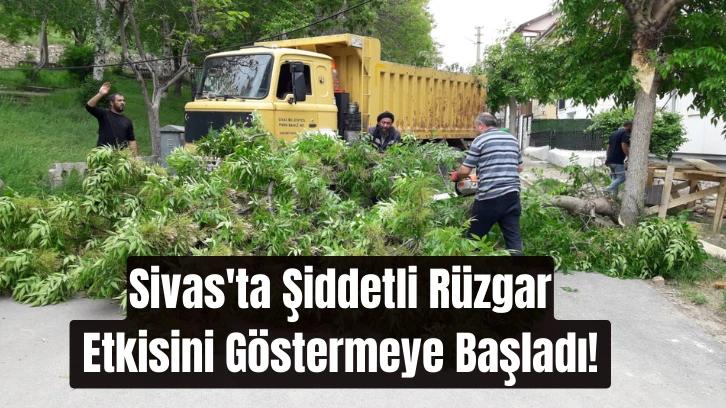 Sivas'ta Şiddetli Rüzgar Etkisini Göstermeye Başladı! 