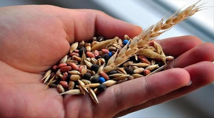 Türkiye 'Tohum İhracatçısı' Kimliği Sürdürüyor!