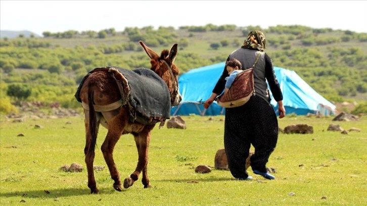 Ömürleri Yolda ve Çadırda Geçiyor... 