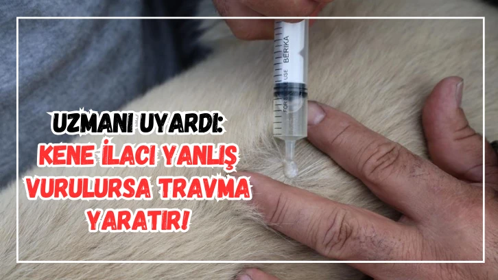 Uzmanı Uyardı: Kene İlacı Yanlış Vurulursa Travma Yaratır! 