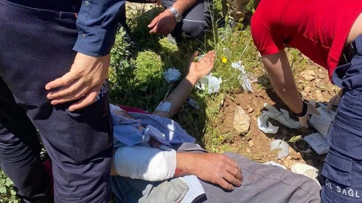 Hayvanlarını Otlatırken Ayı Saldırdı! 