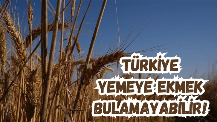 Türkiye Yemeye Ekmek Bulamayabilir!
