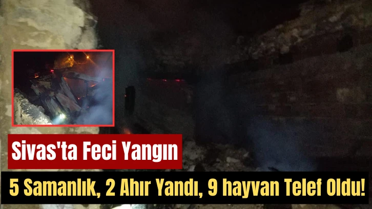 Sivas'ta Feci Yangın: 5 Samanlık, 2 Ahır Yandı, 9 hayvan Telef Oldu!