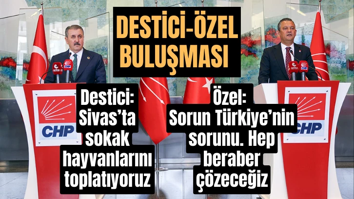 Destici-Özel Buluşmasında Sokak Hayvanları Gündeme Geldi