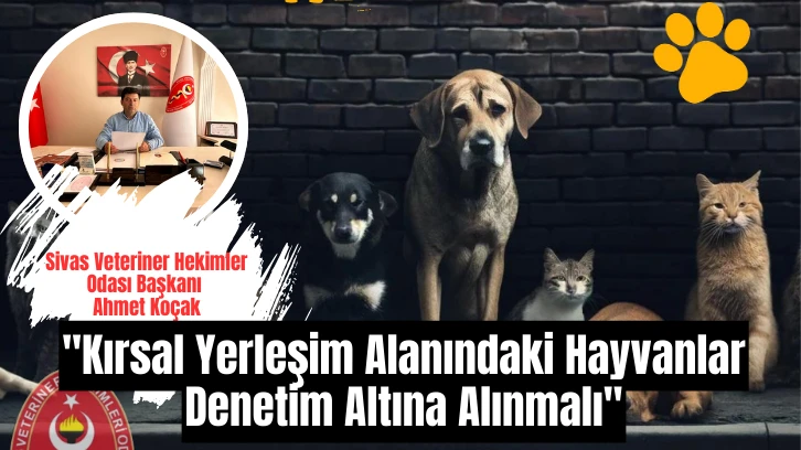 'Kırsal Yerleşim Alanındaki Hayvanlar Denetim Altına Alınmalı'