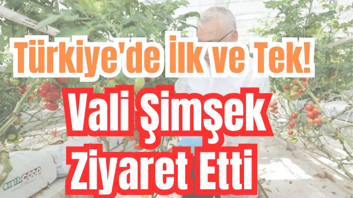 Türkiye'de İlk ve Tek! Vali Şimşek Ziyaret Etti 