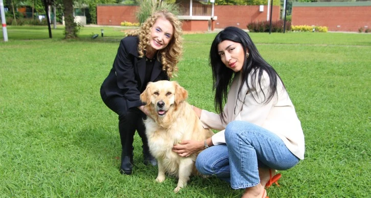 ‘Sokak köpekleri için umut dolu proje’