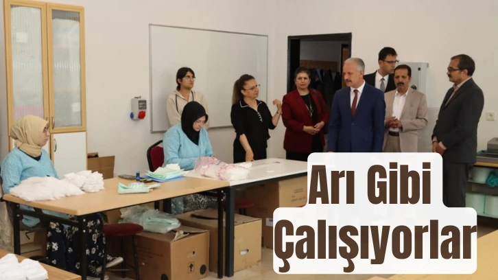 Arı Gibi Çalışıyorlar
