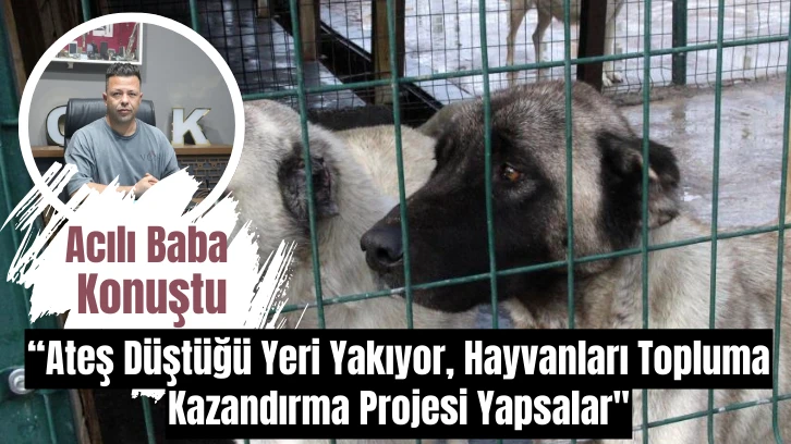 Sivas'ta Acılı Baba Konuştu: “Ateş Düştüğü Yeri Yakıyor, Hayvanları Topluma Kazandırma Projesi Yapsalar'