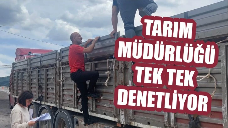Tarım Müdürlüğü  Tek Tek Denetliyor 