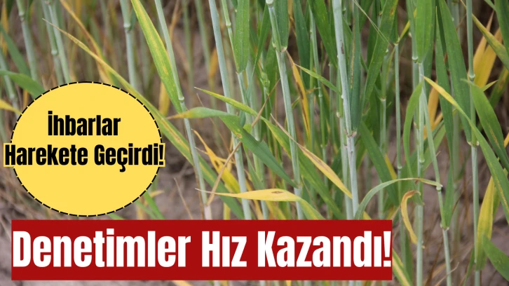 İhbarlar Harekete Geçirdi! Denetimler Hız Kazandı! 