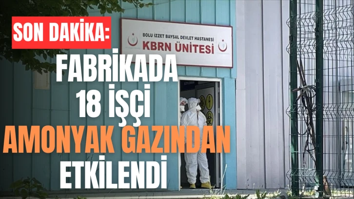 Son Dakika: Fabrikada 18 İşçi Amonyak Gazından Etkilendi
